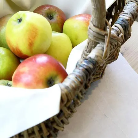 Vendégház Gastehaus Brink's 3*