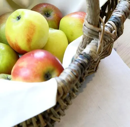 Penzion Gastehaus Brink's 3*